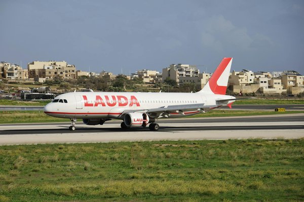 Comment organiser une expédition pour observer les lions en Afrique du Sud?